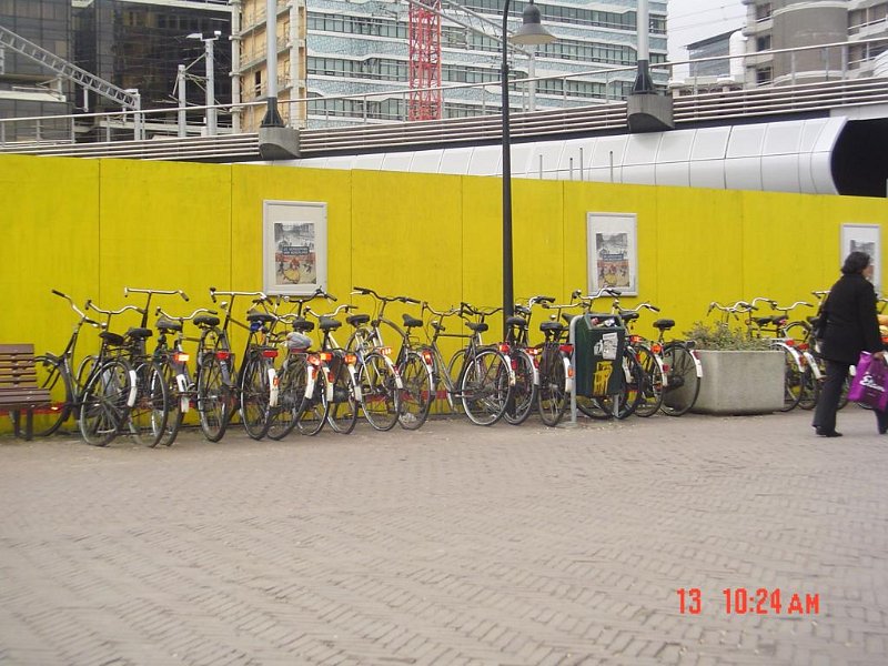 DSC00437.jpg