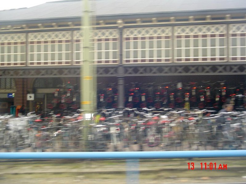 DSC00439.jpg