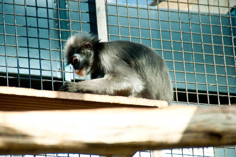 DSC02462.jpg