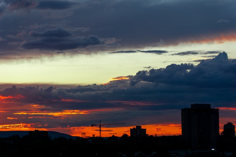 DSC03031.jpg