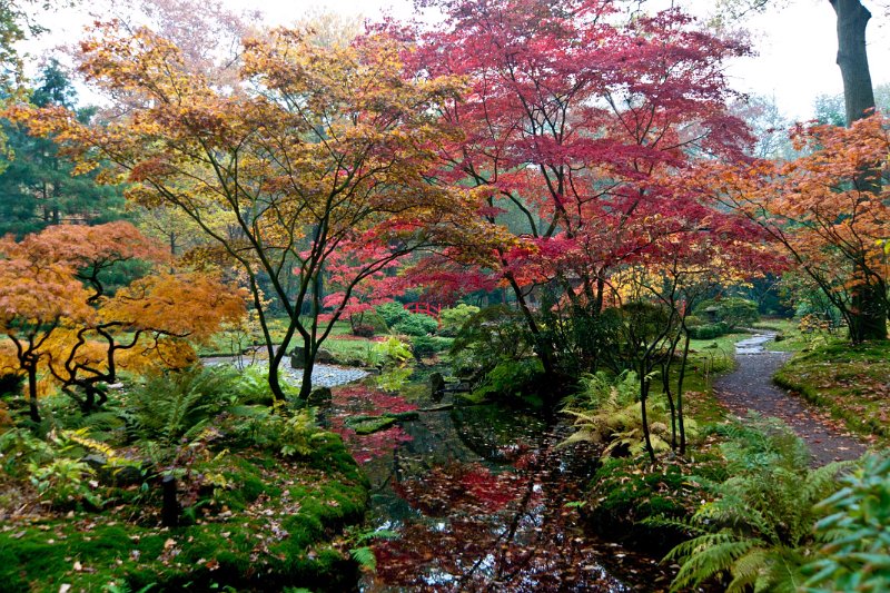 DSC00424.jpg