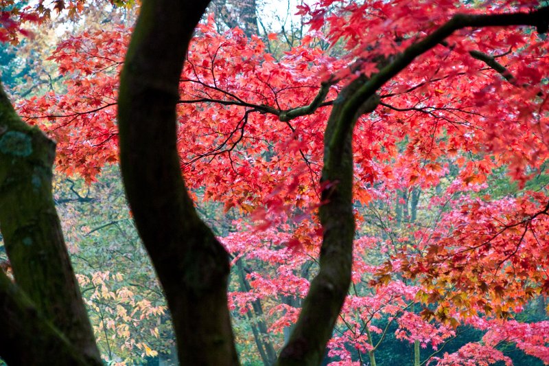 DSC00428.jpg