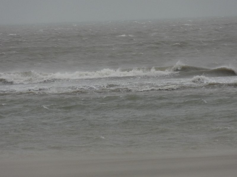 DSC01100.jpg