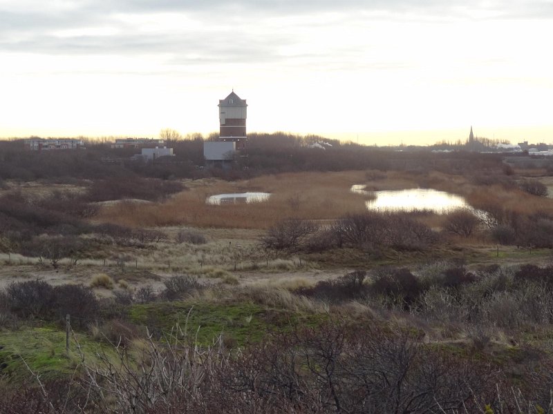 DSC01110.jpg