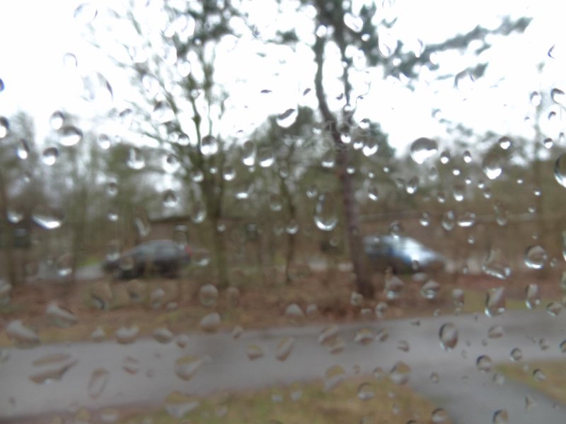 DSC01112.jpg