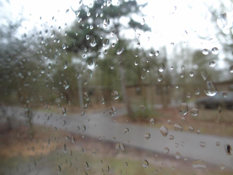 DSC01113.jpg