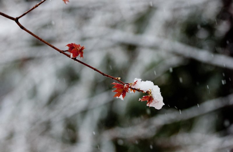 DSC01541k.jpg