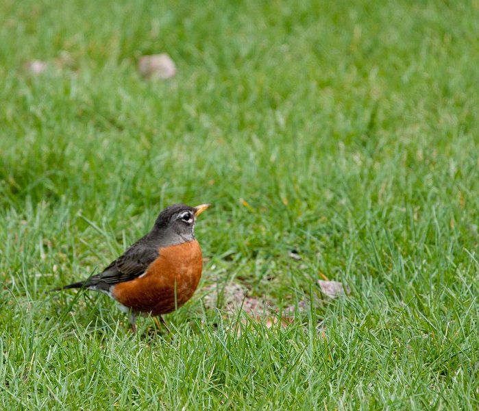DSC01555a.jpg