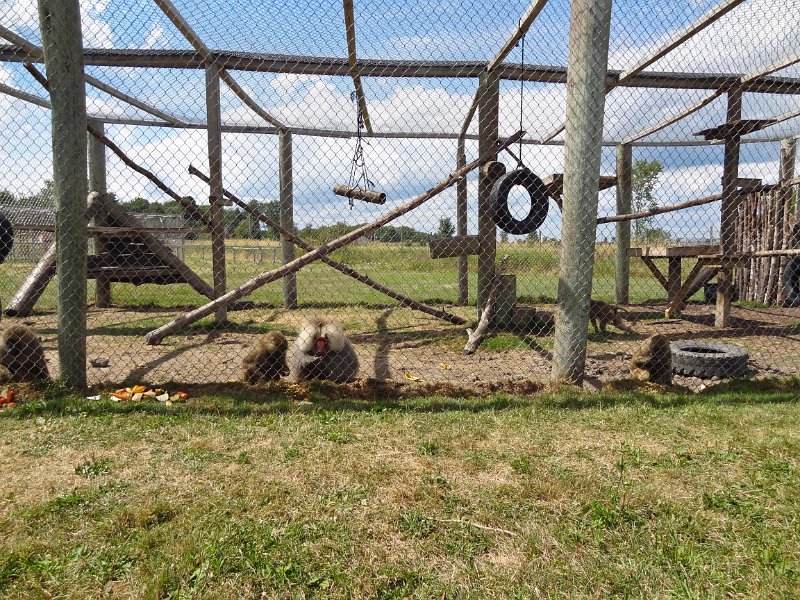 DSC01995.jpg