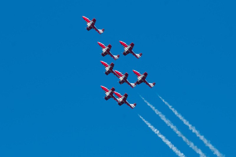 DSC01288.jpg