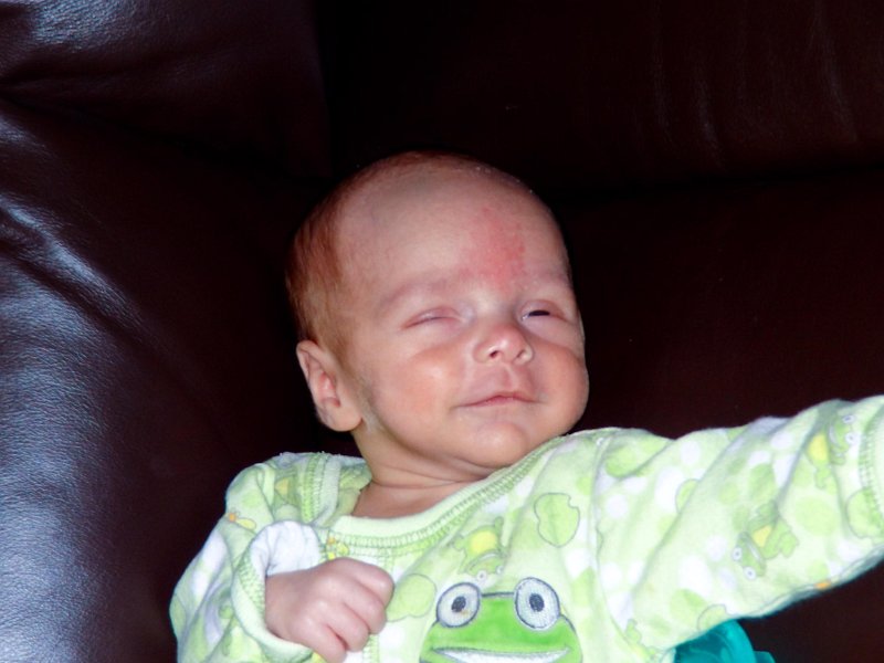 DSC02137c.jpg
