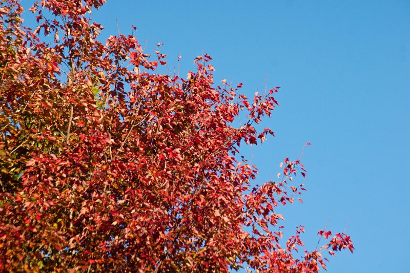 DSC02138b.jpg