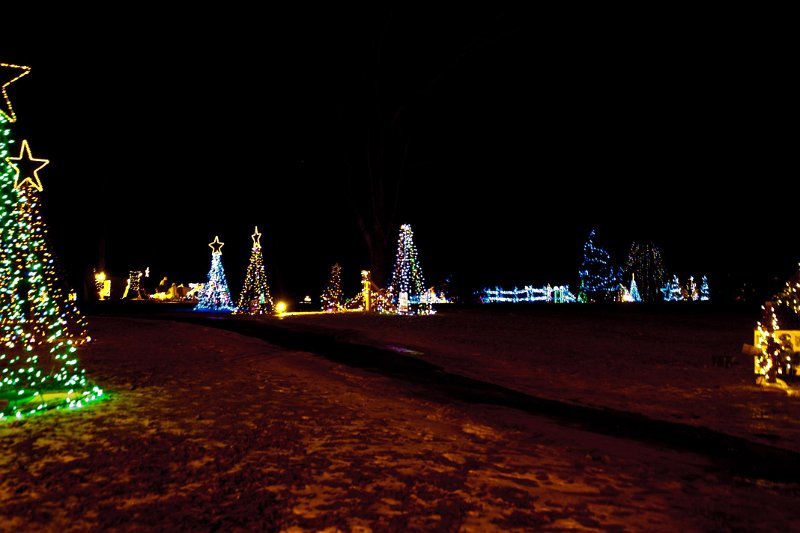DSC02412g.jpg