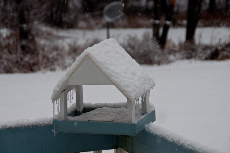 DSC02416f.jpg