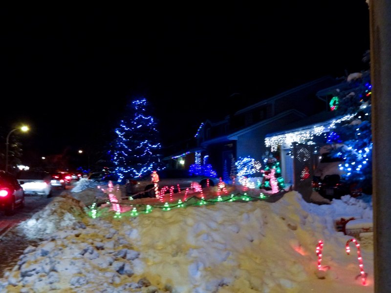 DSC02464.jpg
