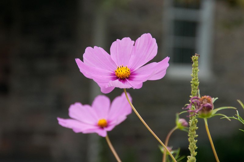 DSC05362.jpg