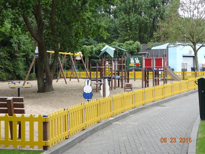 DSC03732.jpg