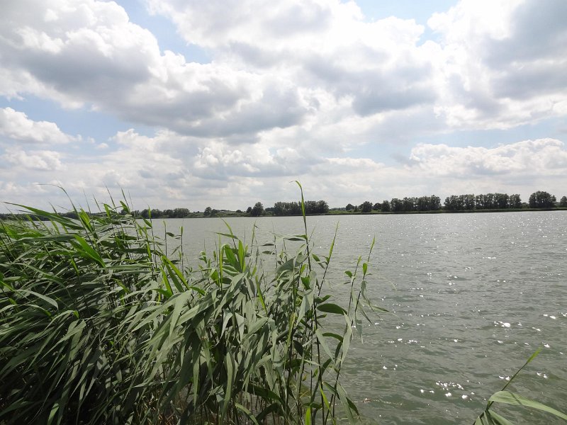 DS-00122.jpg