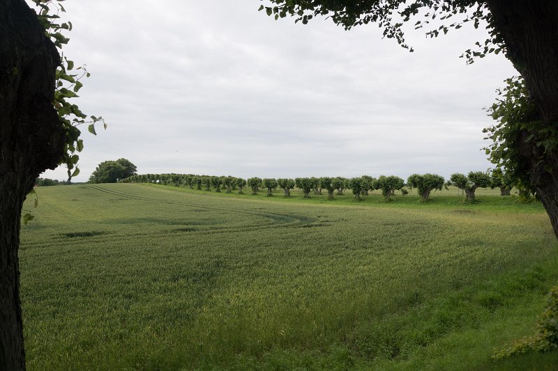 DS-00264.jpg
