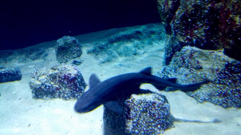 Kenn-2016-0048.jpg