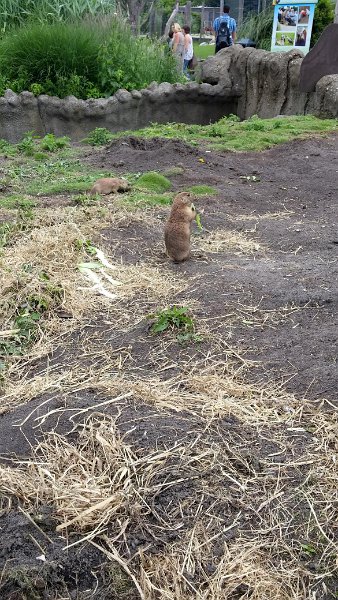 Kenn-2016-0058.jpg