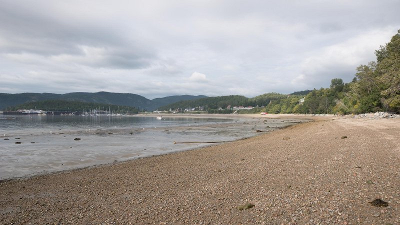 DSC05203-B.jpg