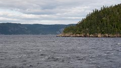 DSC05711