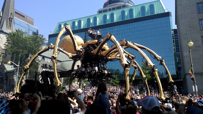 20170730_145950.jpg