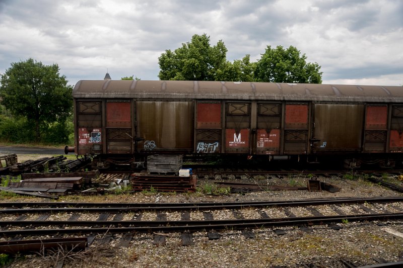DSC09396.jpg