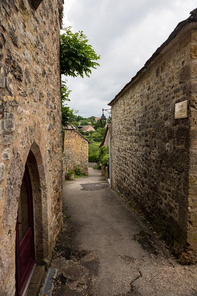DSC09618.jpg