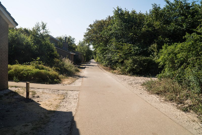 D006ESC09876.jpg