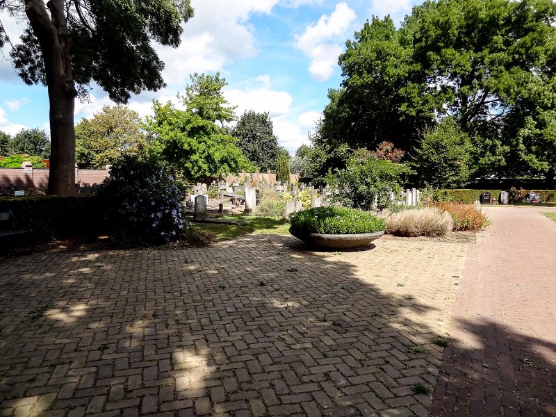 D492SC05599.jpg
