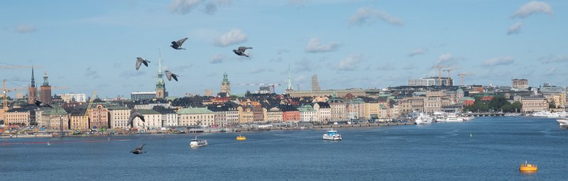 HEL03686.jpg