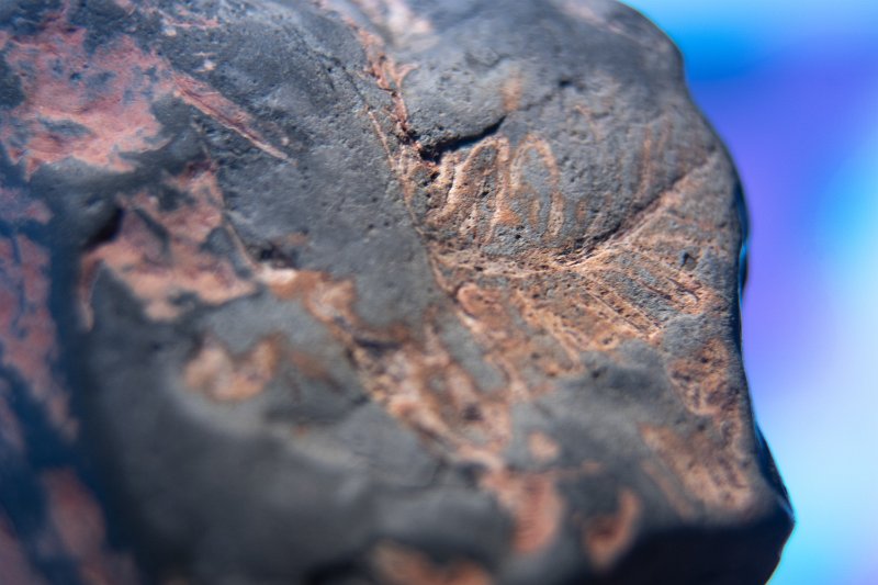F016.jpg
